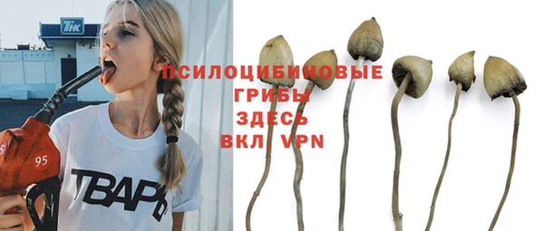 apvp Кукмор