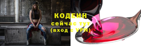 apvp Кукмор