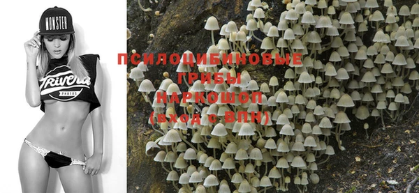 apvp Кукмор