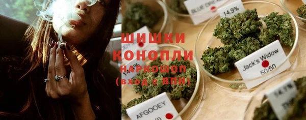 apvp Кукмор