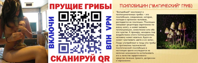 Псилоцибиновые грибы Psilocybe  продажа наркотиков  Усолье 